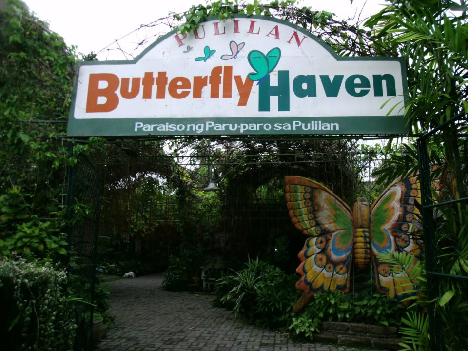 pulilan butterfly haven