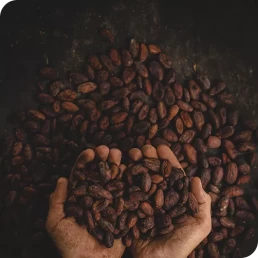 filipino coffee farmer support